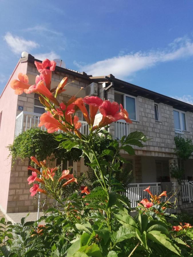 Apartmani Danica Orebic Bagian luar foto